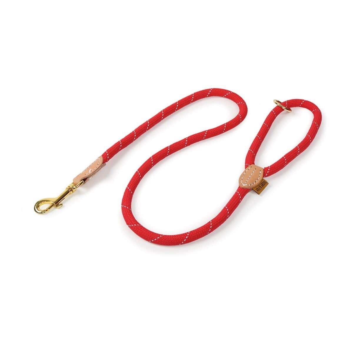 Shires Digby & Fox Reflective Dog Lead