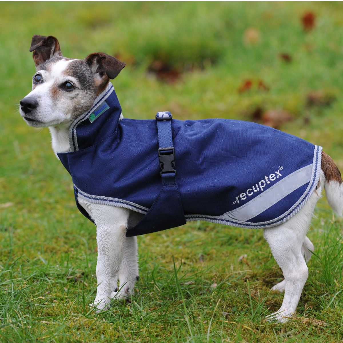 Bucas Recuptex Therapy Dog Rug