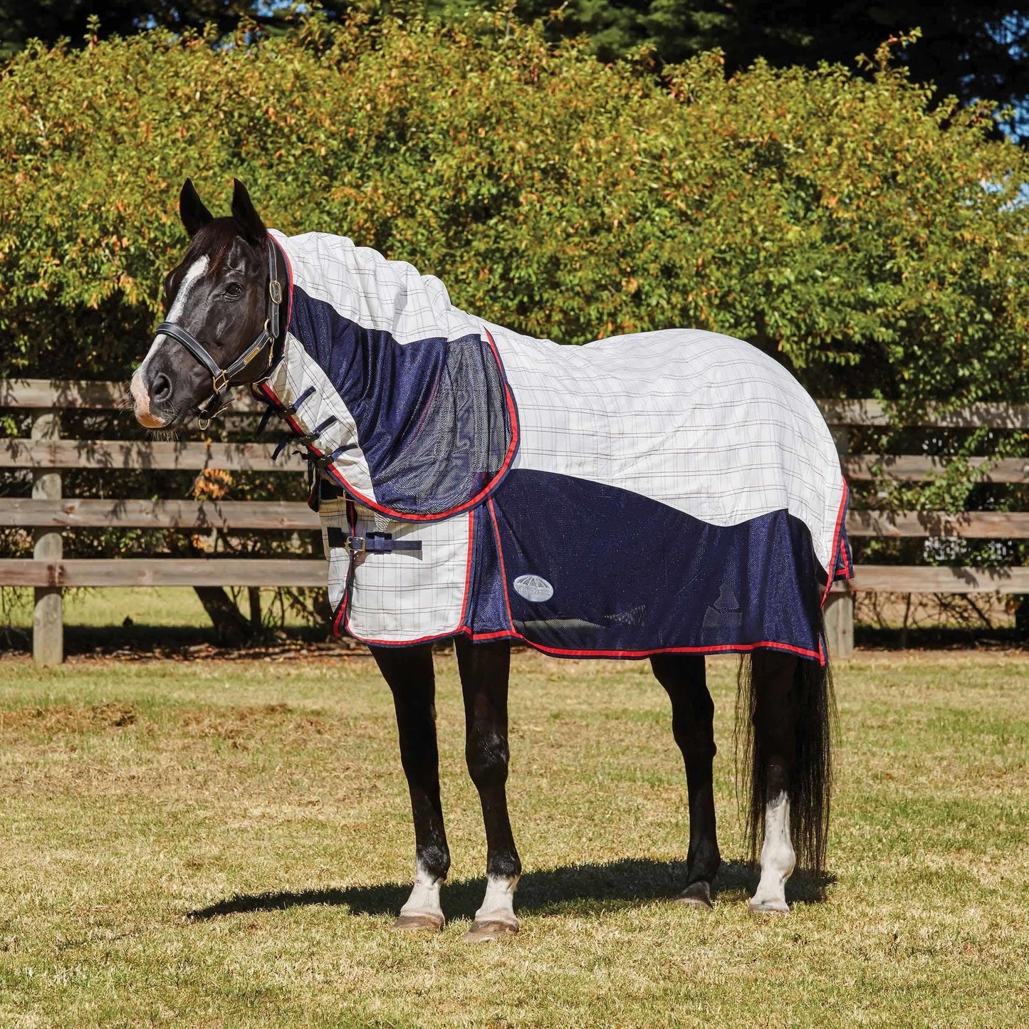 Weatherbeeta Breeze With Surcingle III Combo Neck Sheet