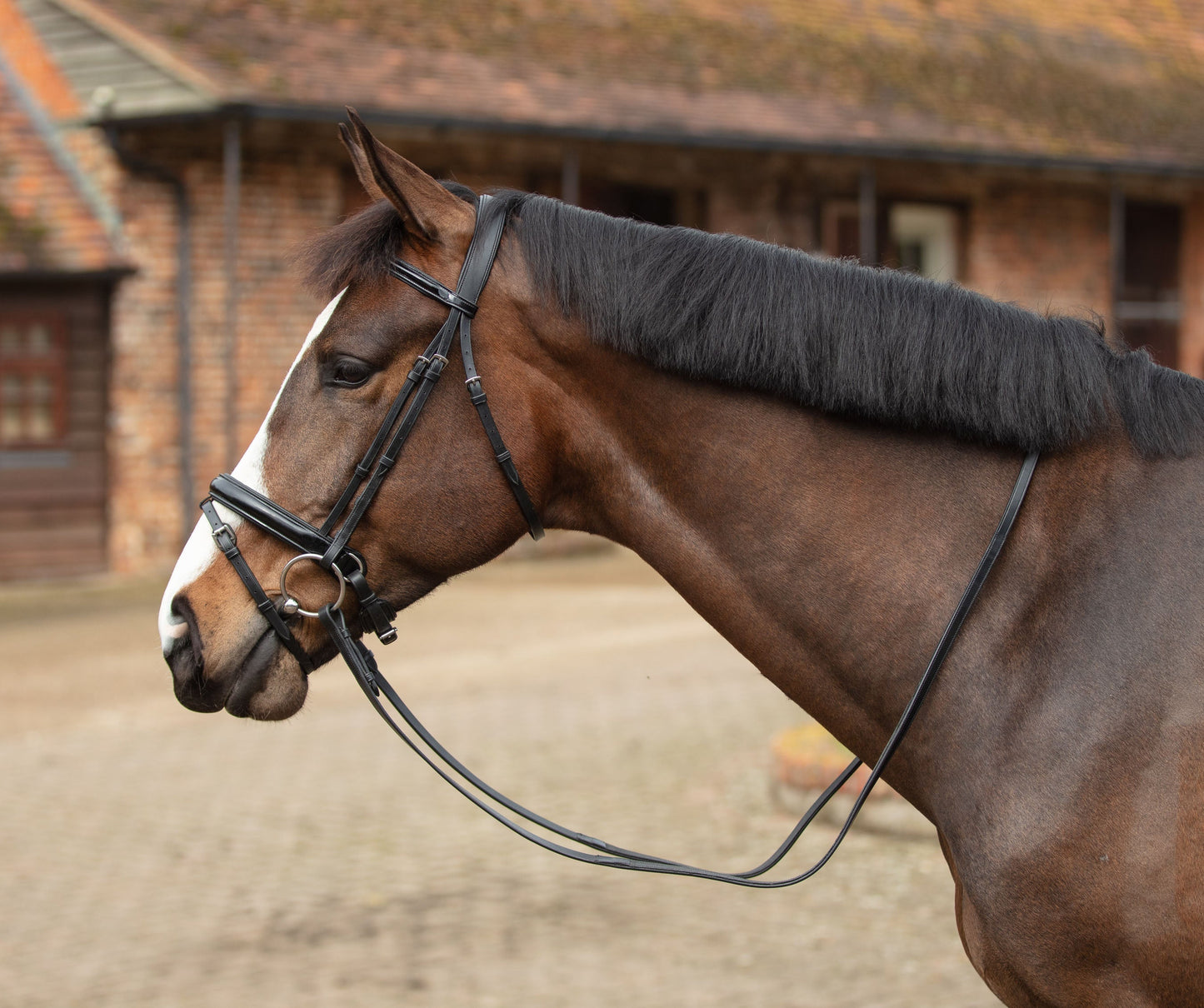 Mark Todd Patent Dressage Bridle