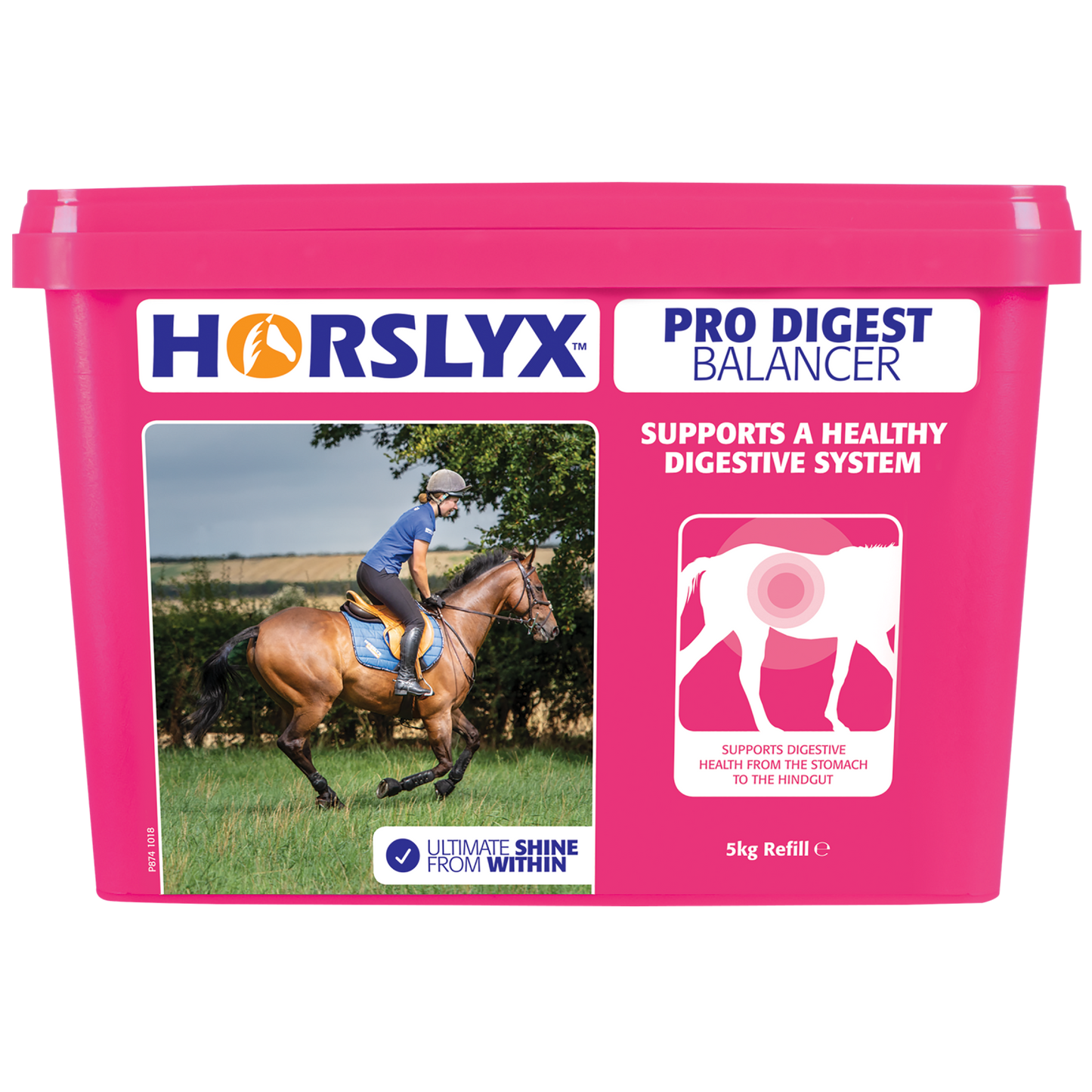 Horslyx Pro Digest Balancer
