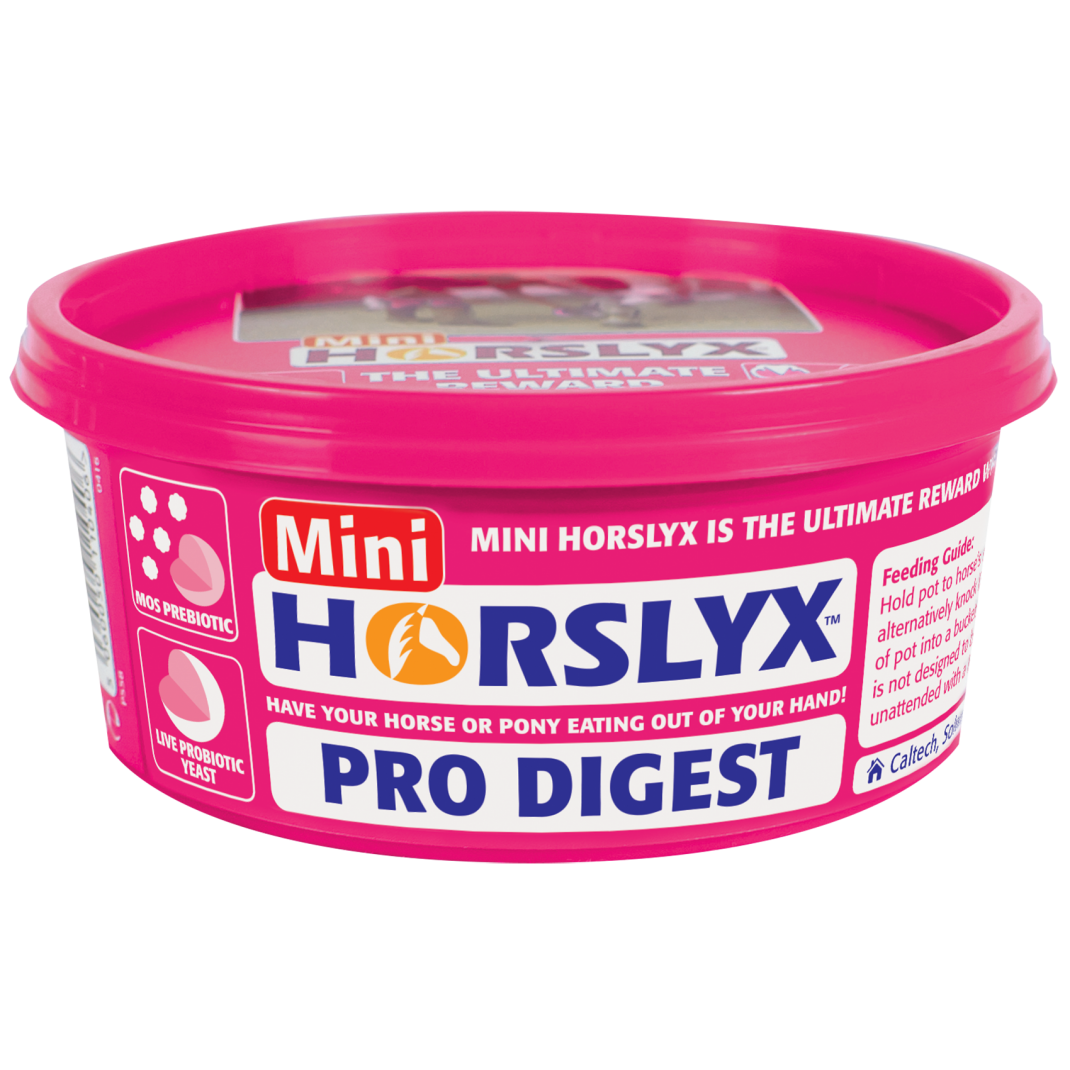 Horslyx Pro Digest Balancer