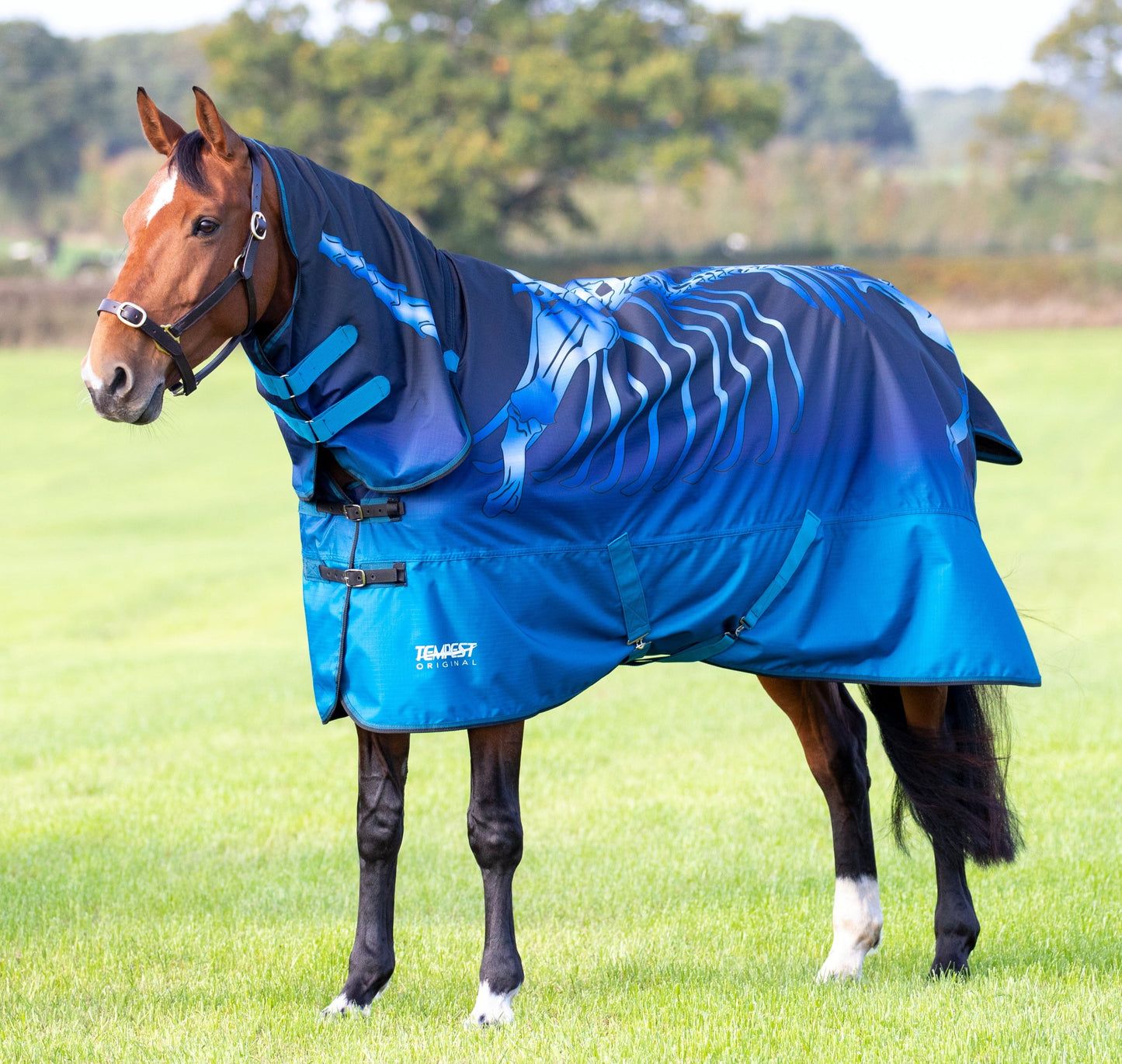 Shires Tempest Original Lite Turnout Combi Rug