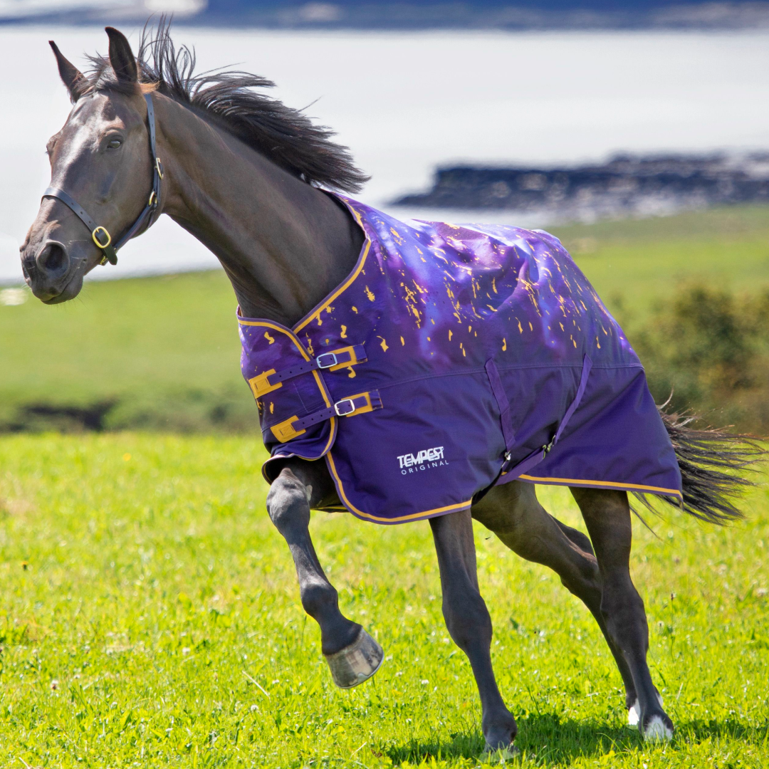 Shires Tempest Original Lite Turnout Rug