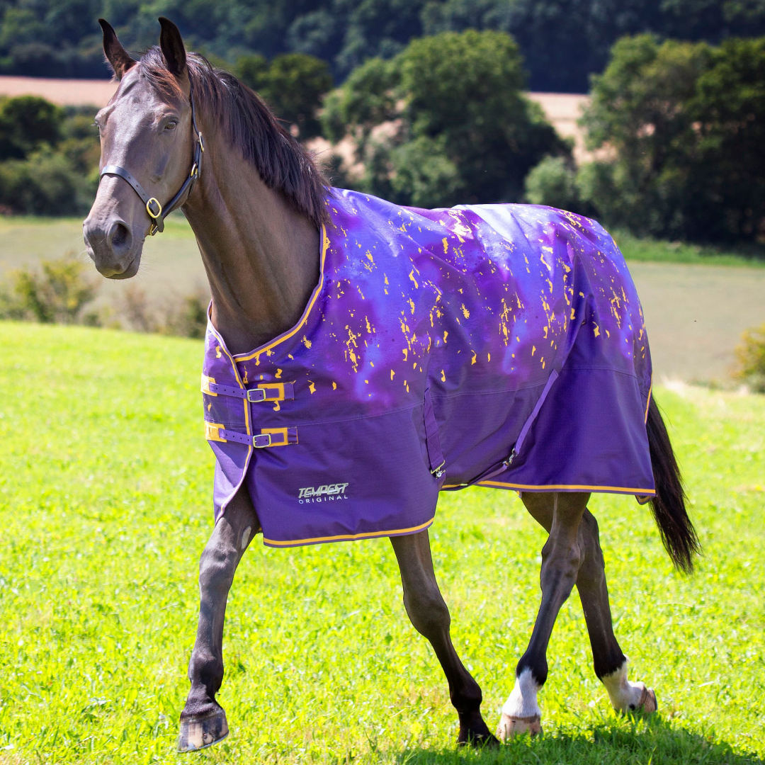 Shires Tempest Original 100g Turnout Rug