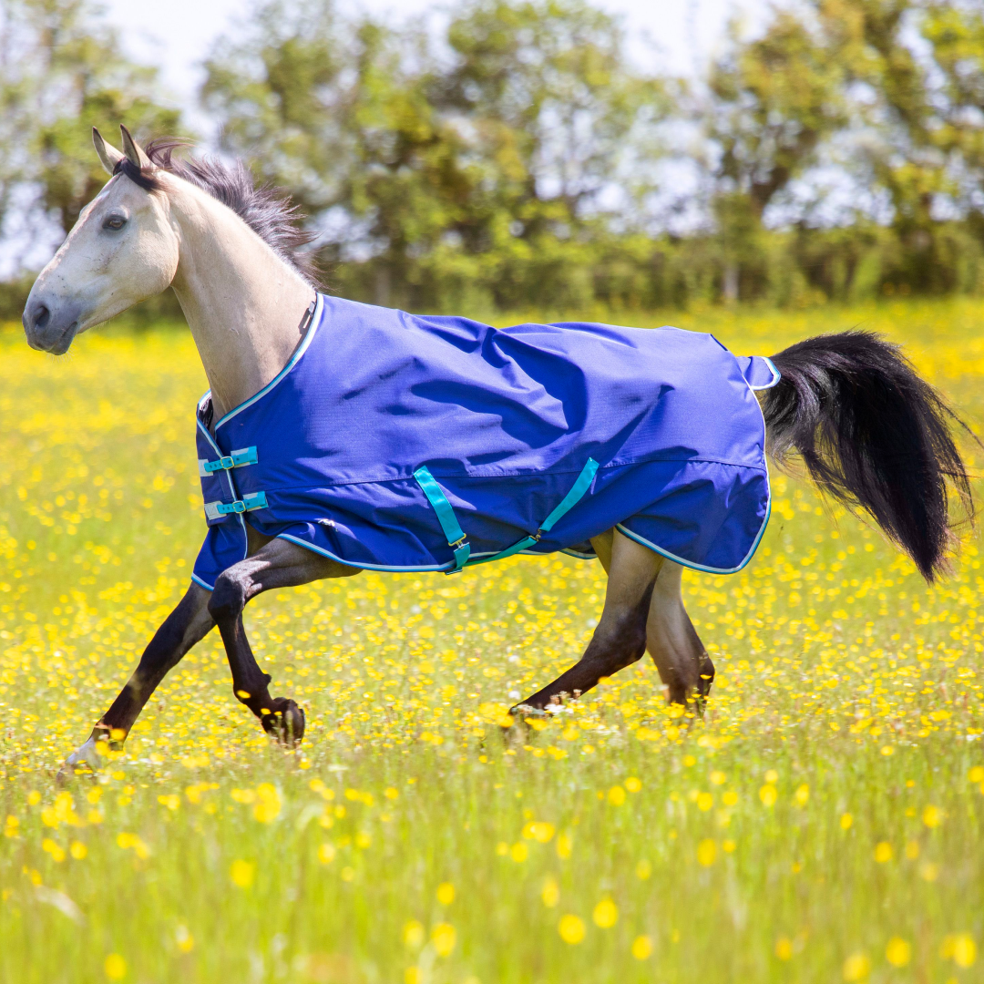 Shires Tempest Original 100g Turnout Rug