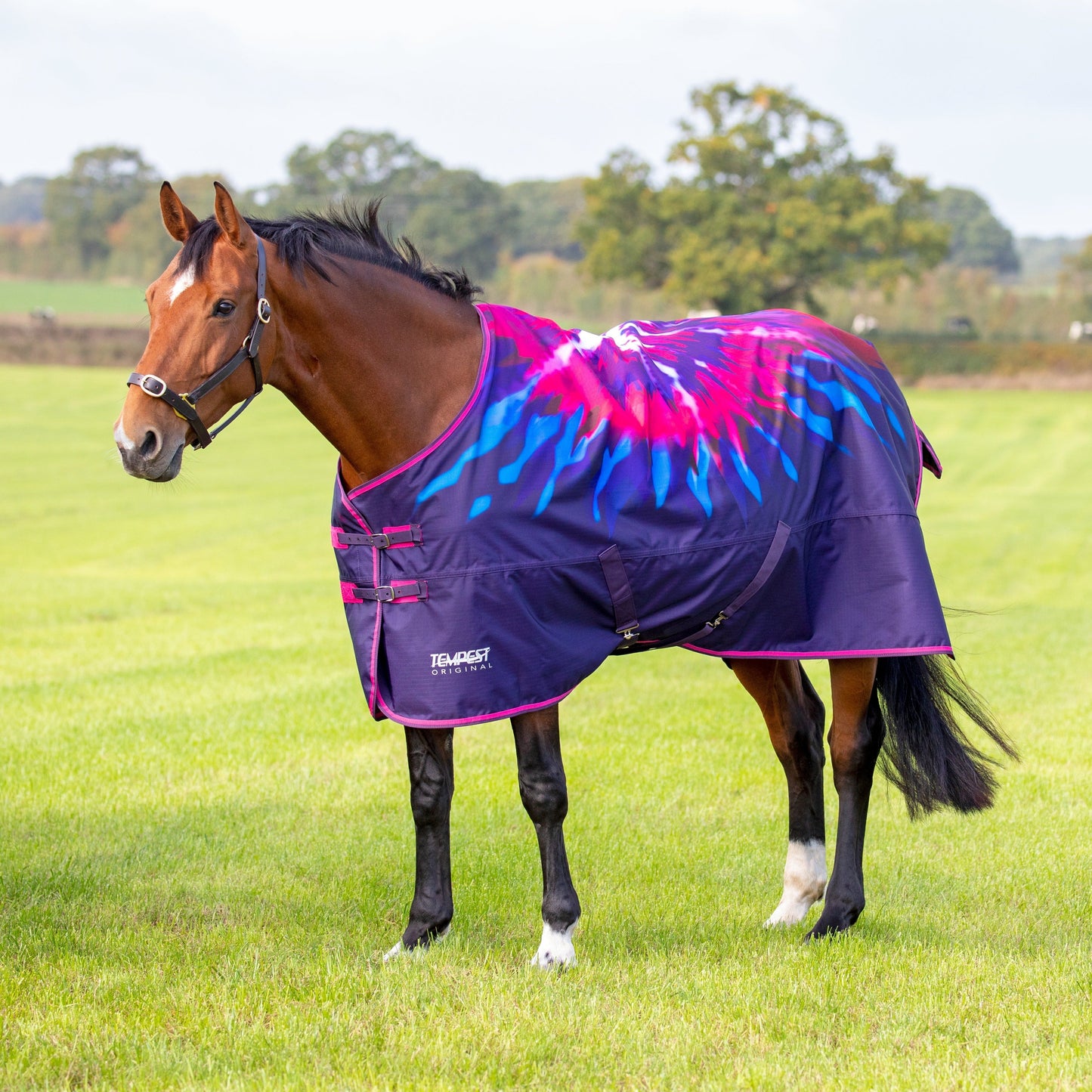 Shires Tempest Original 100g Turnout Rug