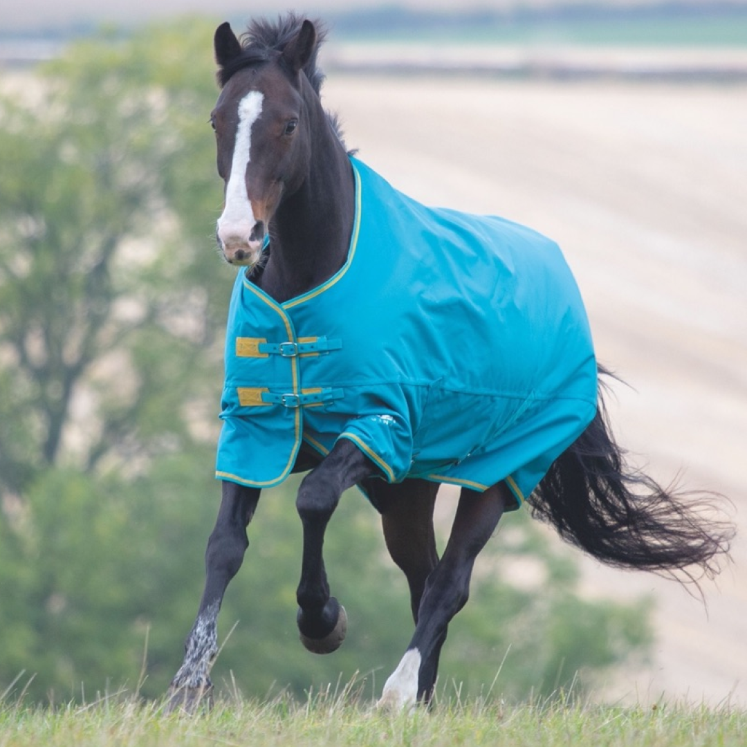 Shires Tempest Original 300g Turnout Rug