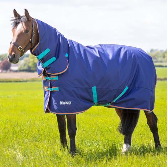 Shires Tempest Original 100g Turnout Combo Rug
