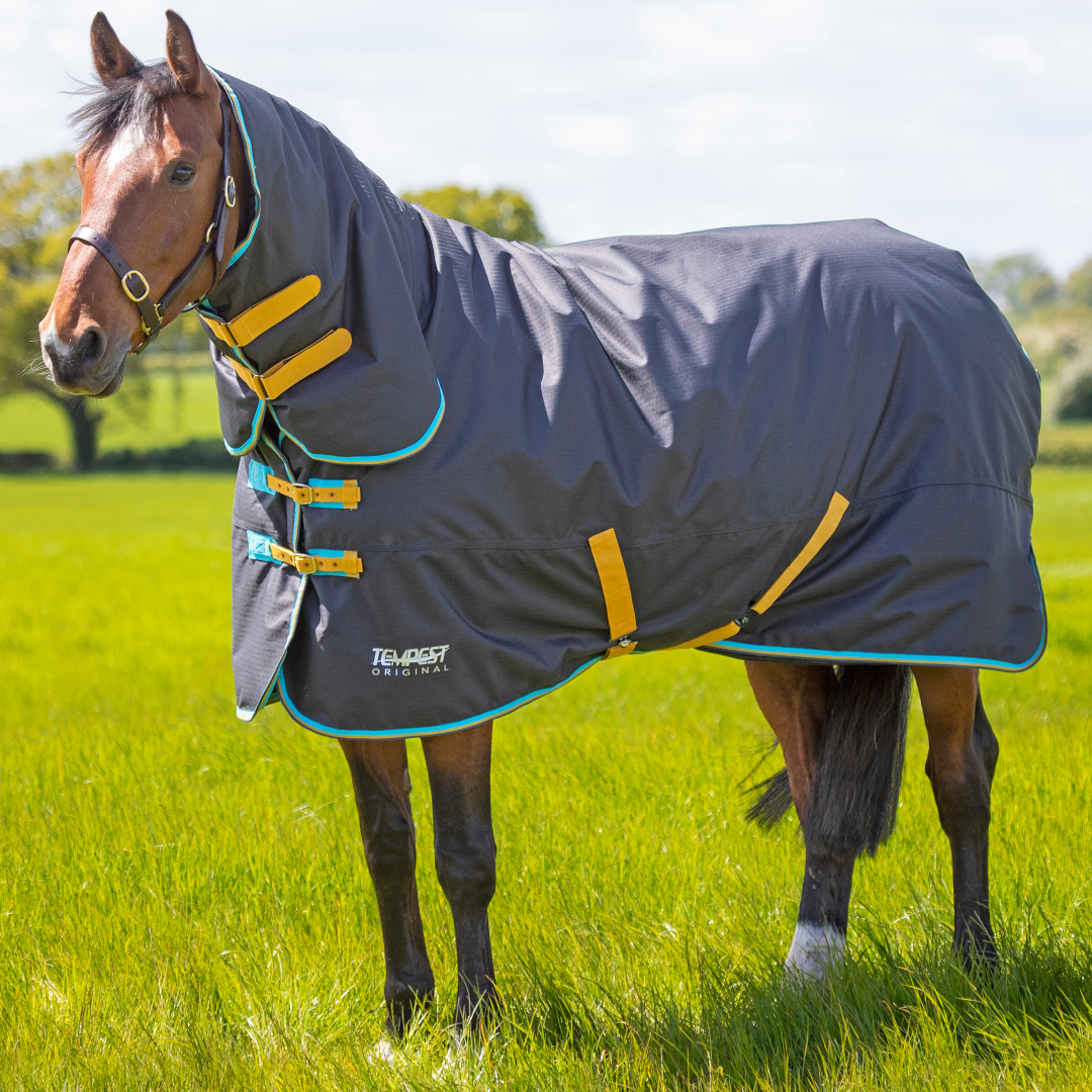 Shires Tempest Original 300g Turnout Combo Rug