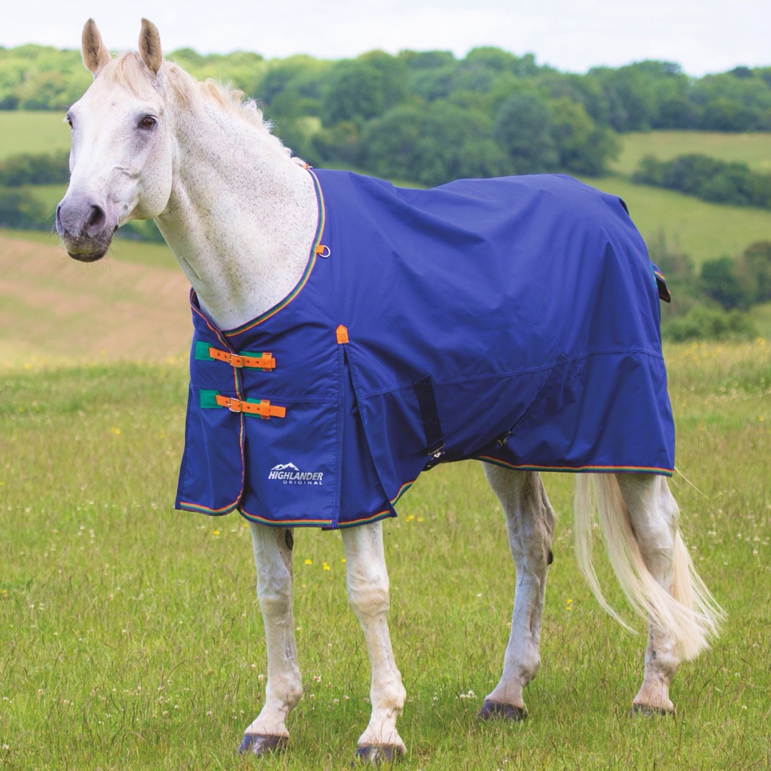 Shires Highlander Original 100g Turnout Rug