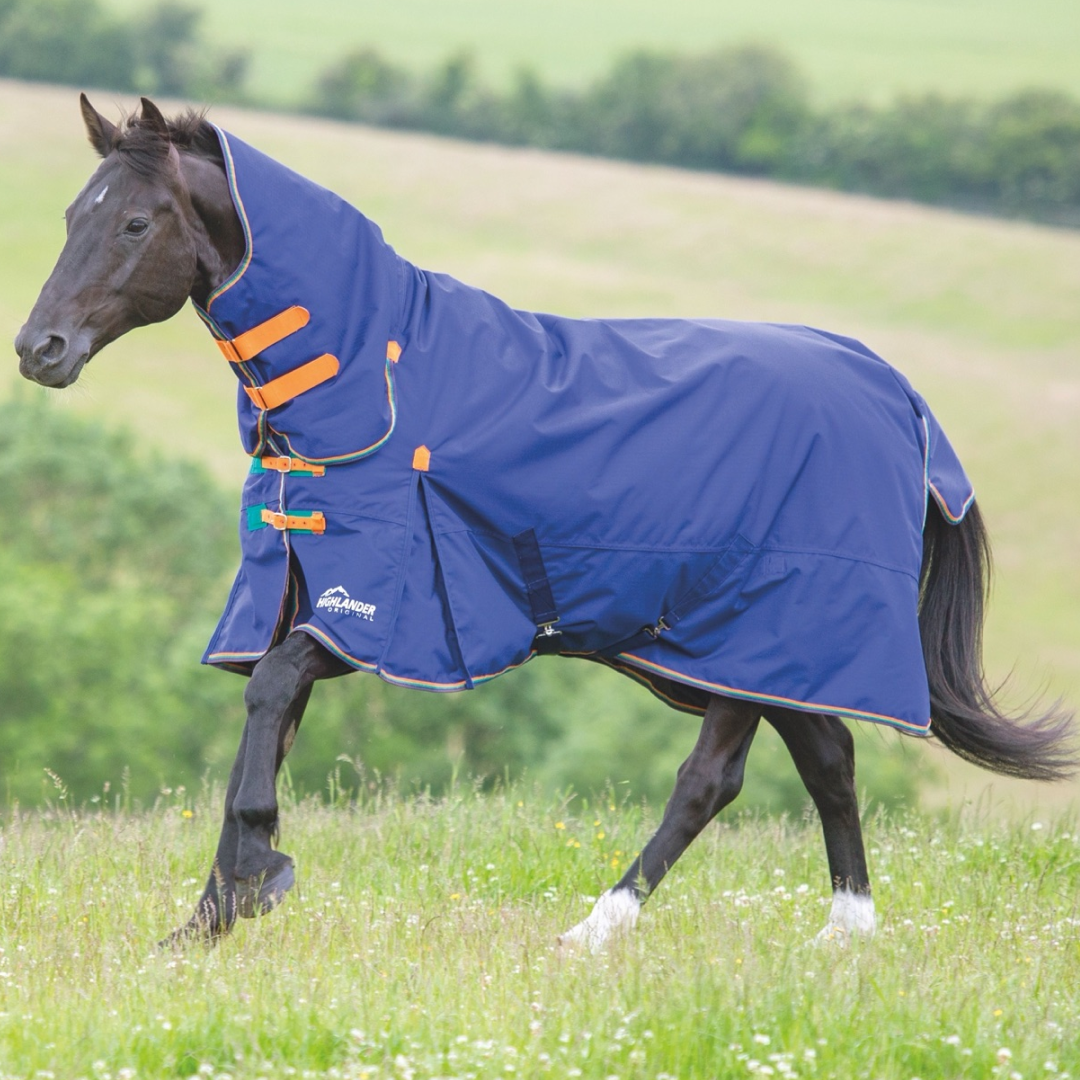 Shires Highlander Original 100g Combo Turnout Rug