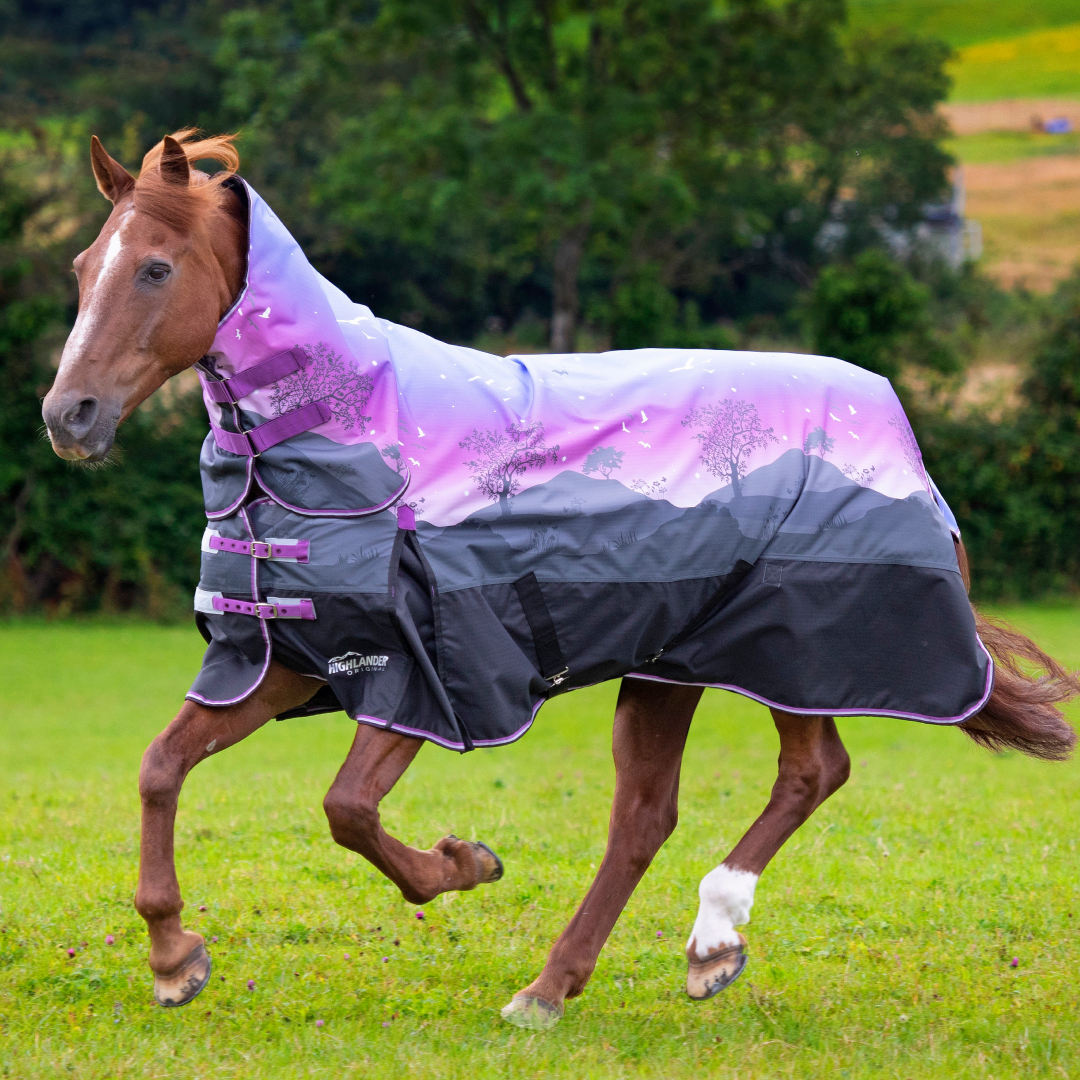 Shires Highlander Original 100g Combo Turnout Rug
