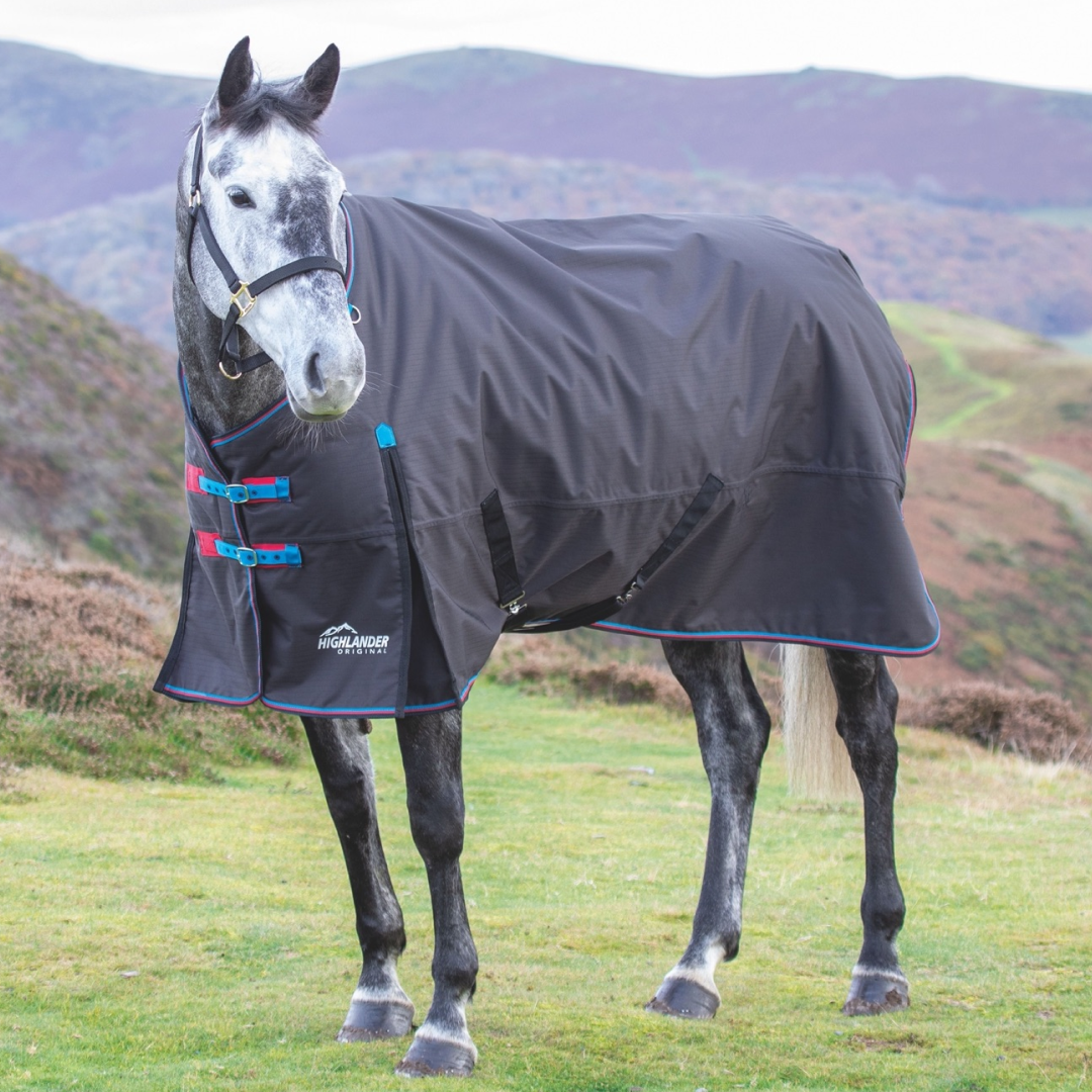 Shires Highlander Original 200g Turnout Rug