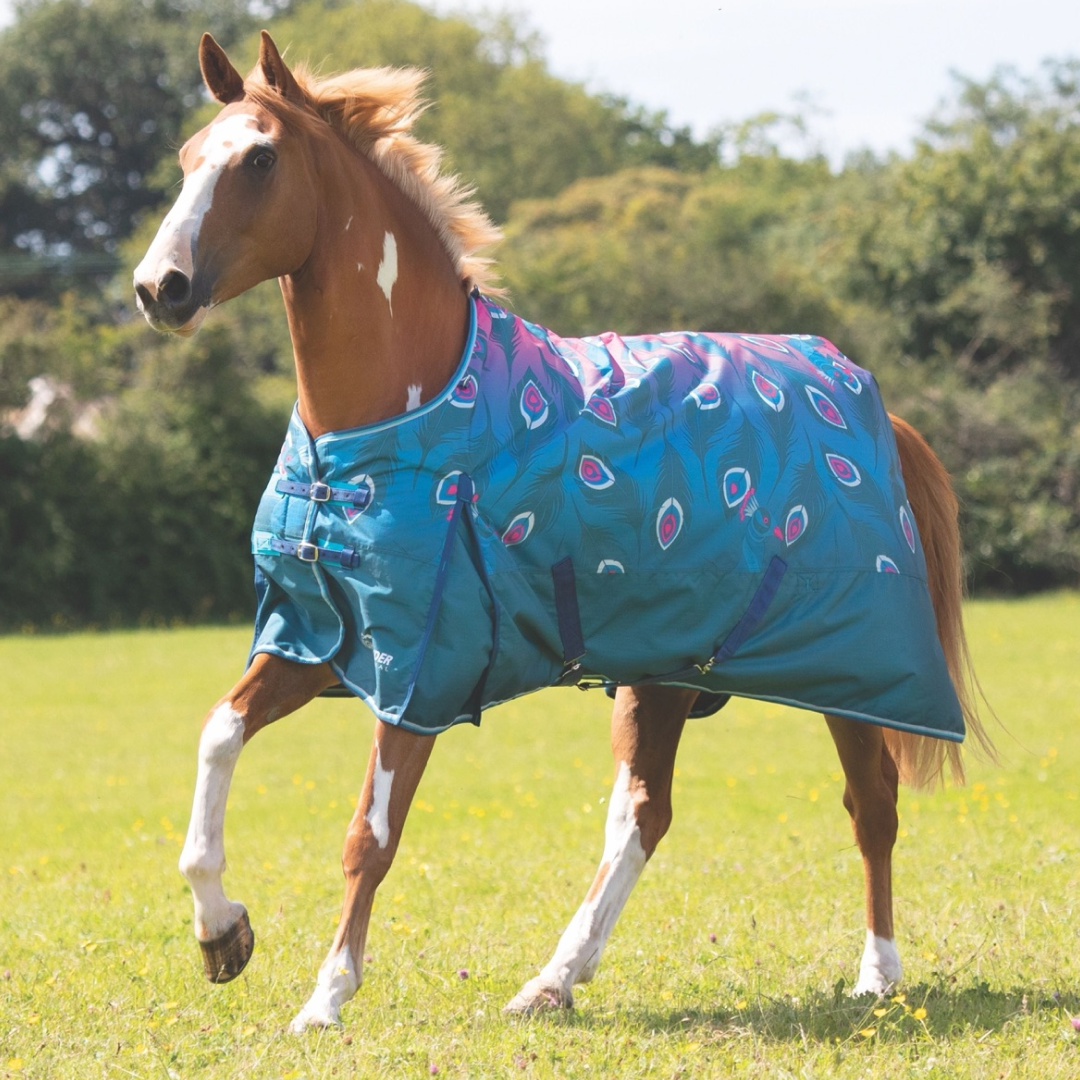 Shires Highlander Original 200g Turnout Rug