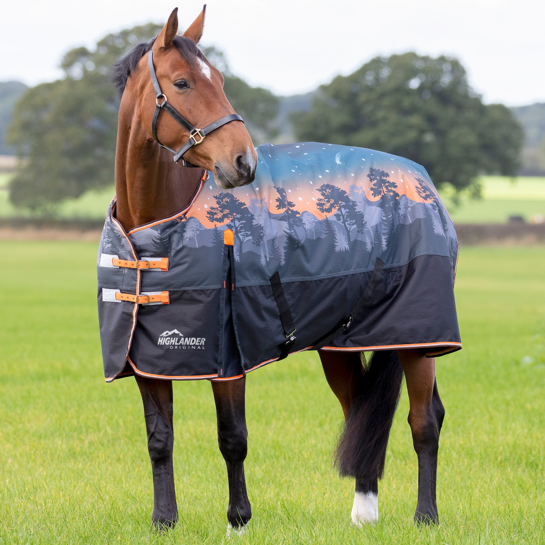 Shires Highlander Original 200g Turnout Rug