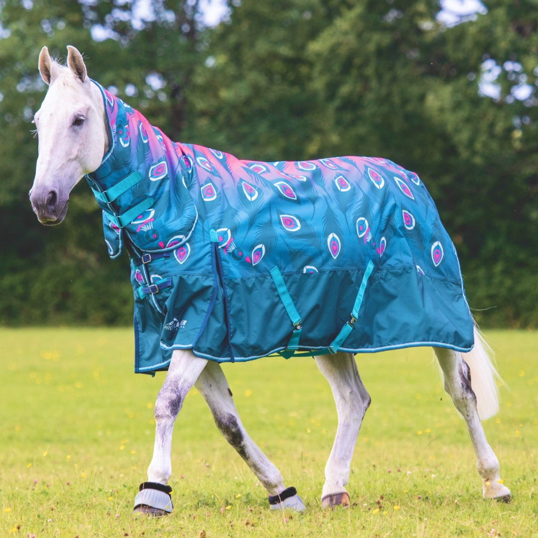 Shires Highlander Original 200g Turnout Combo Rug