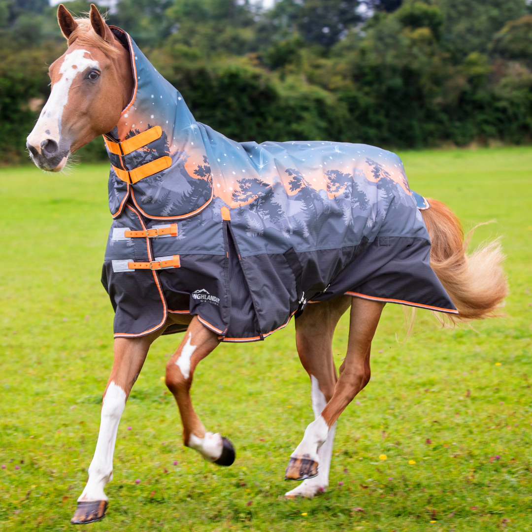 Shires Highlander Original 200g Turnout Combo Rug