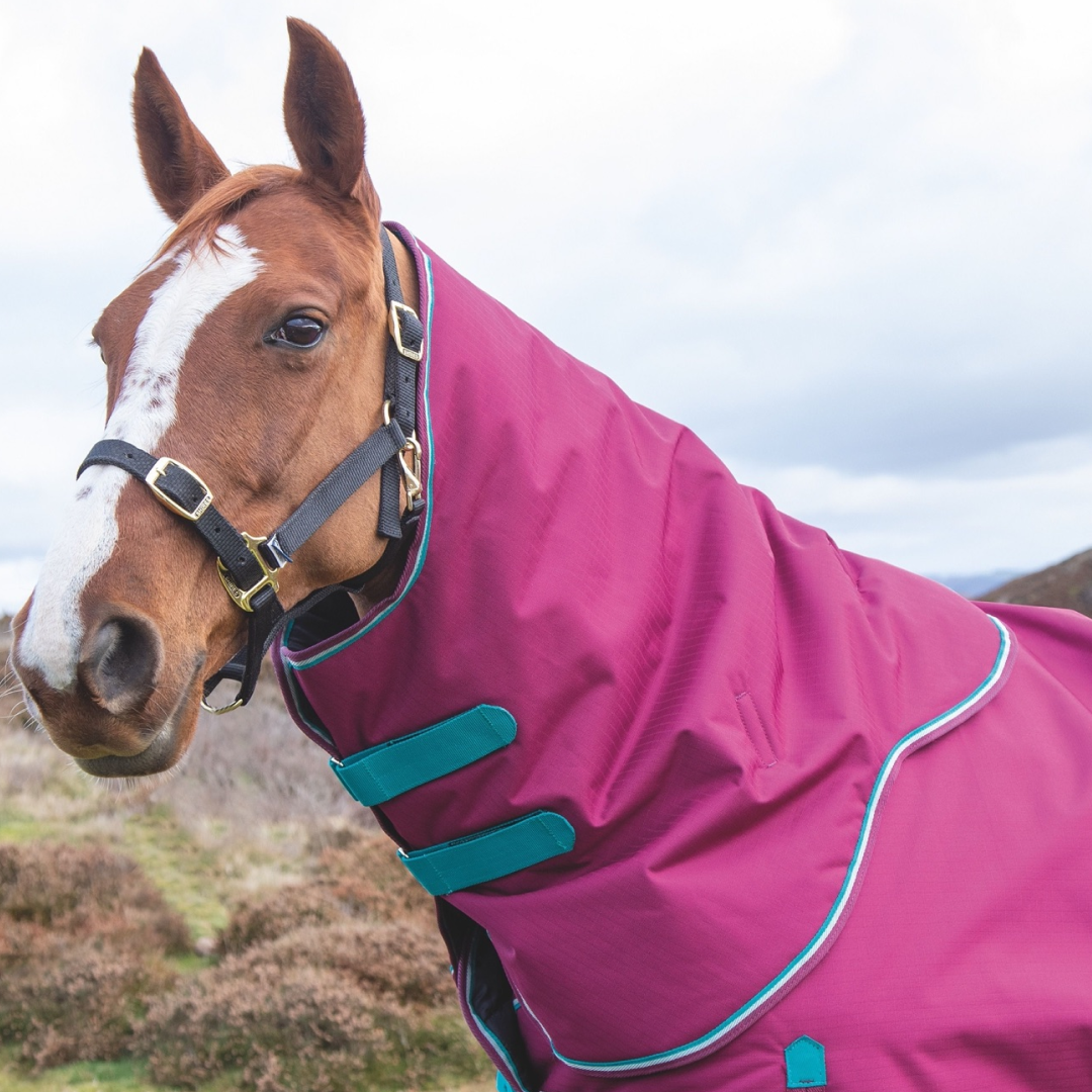 Shires Highlander Original 300g Turnout Neck Cover