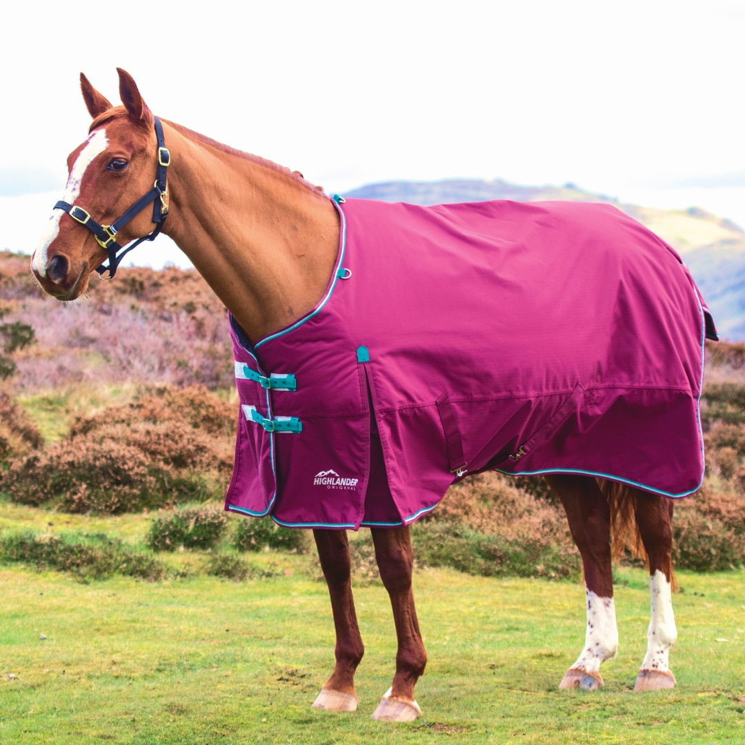 Shires Highlander Original 300g Turnout Rug