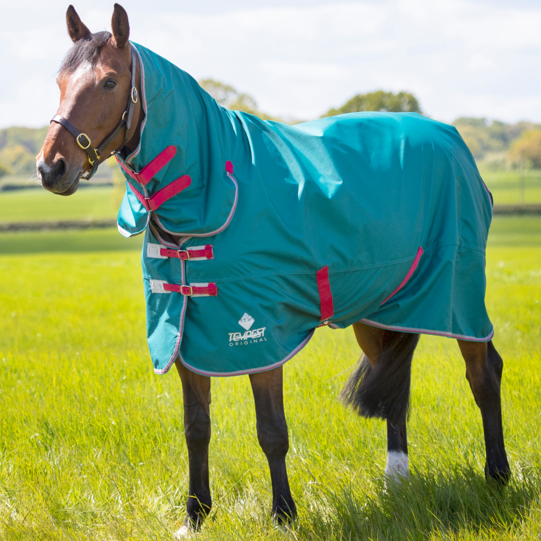Shires Tempest Original Air Motion Combi Rug