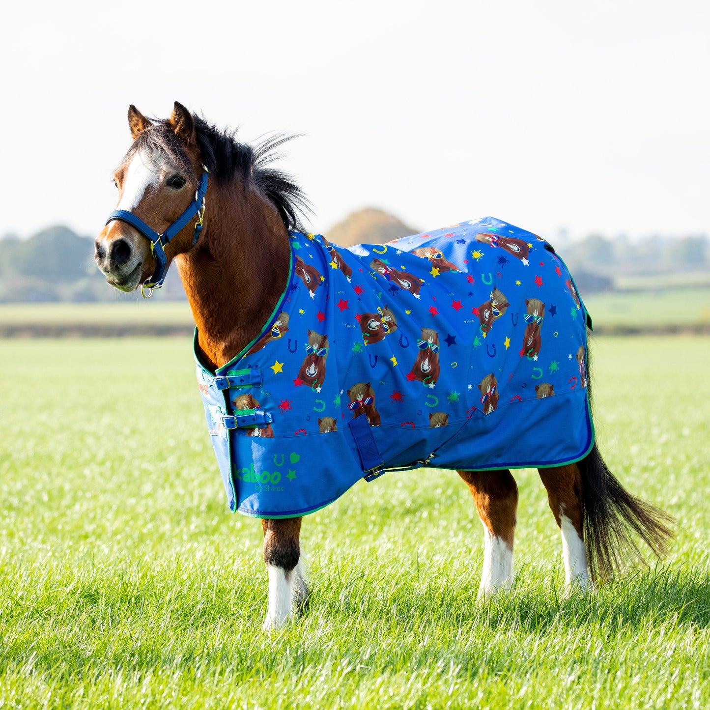 Shires Tikaboo Lite Turnout Rug