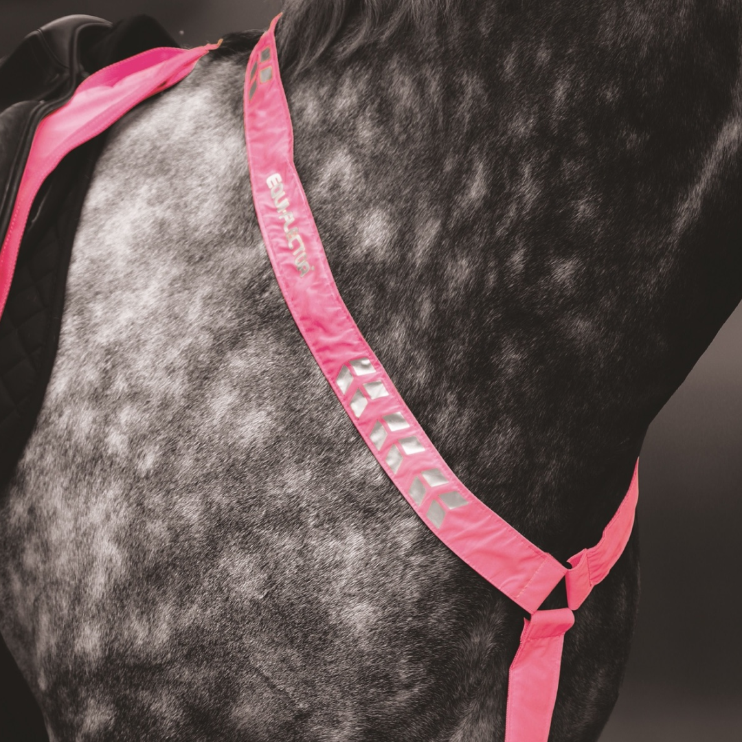 Shires EQUI-FLECTOR Breastplate