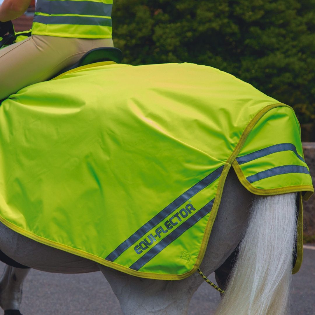 Shires EQUI-FLECTOR Waterproof Exercise Sheet