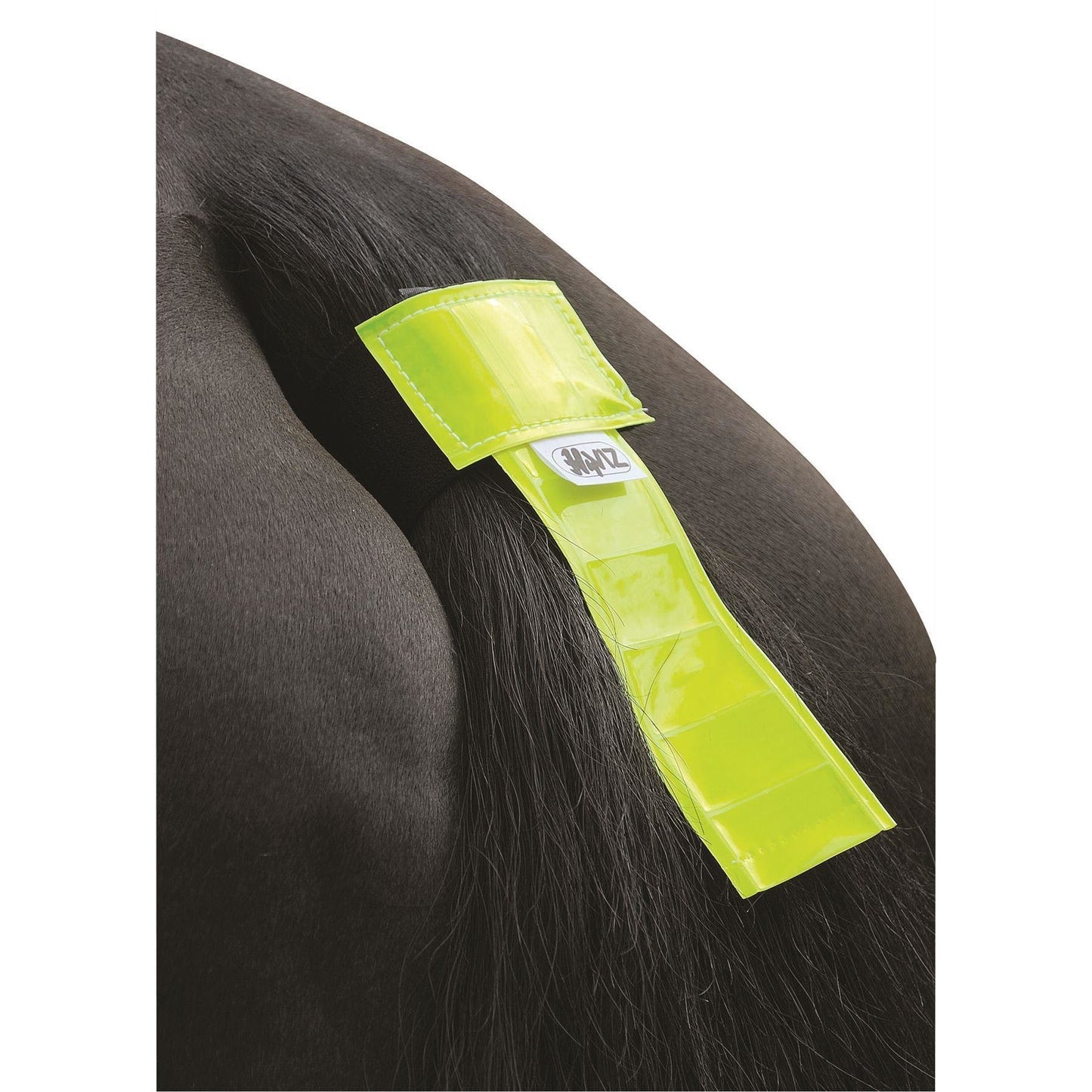 HyVIZ Tail Band