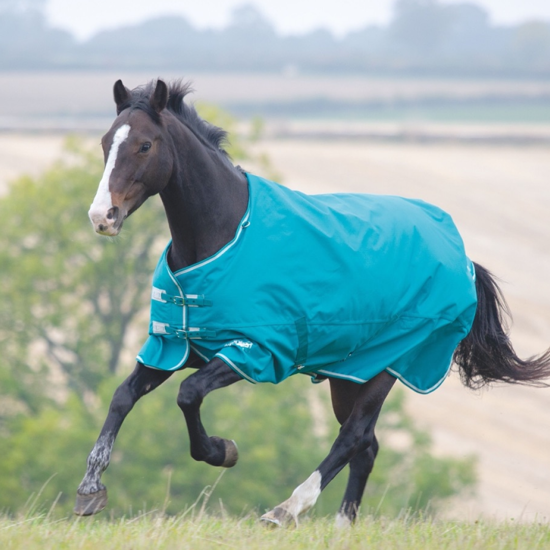 Shires Tempest Plus 200g Turnout Rug