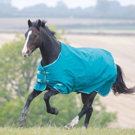 Shires Tempest Plus 200g Turnout Rug