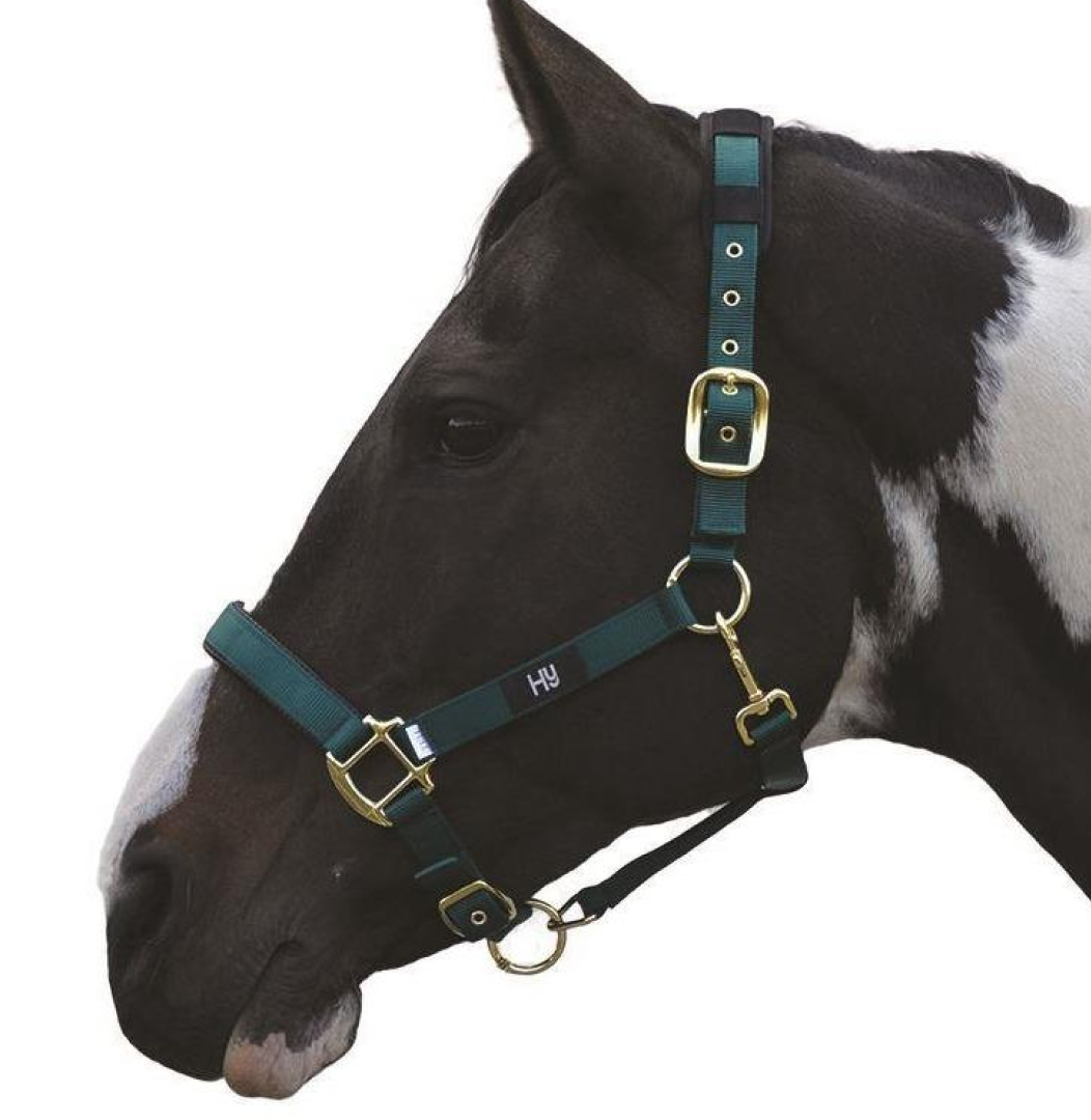 Hy Deluxe Padded Head Collar
