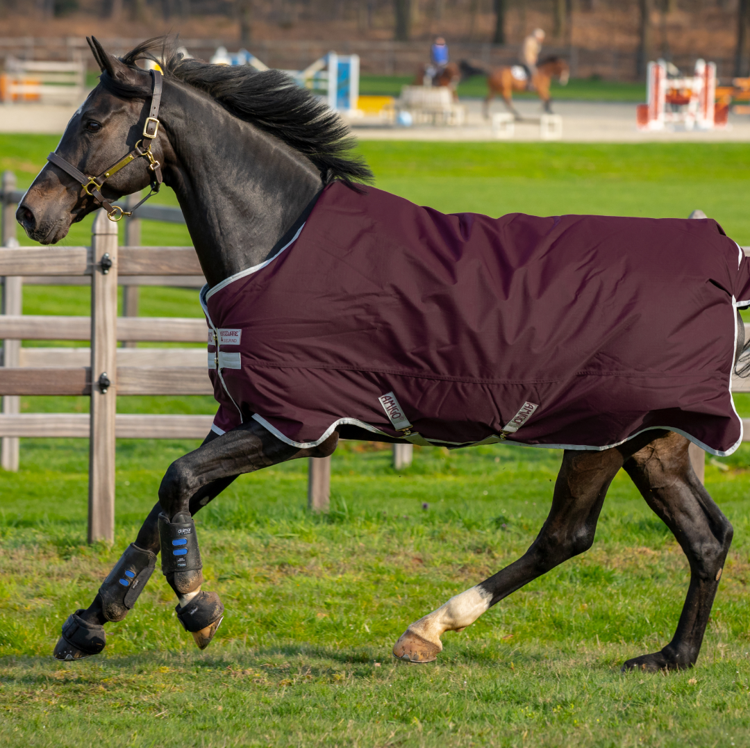Horseware Ireland Amigo Hero 600D with Ripstop 50g