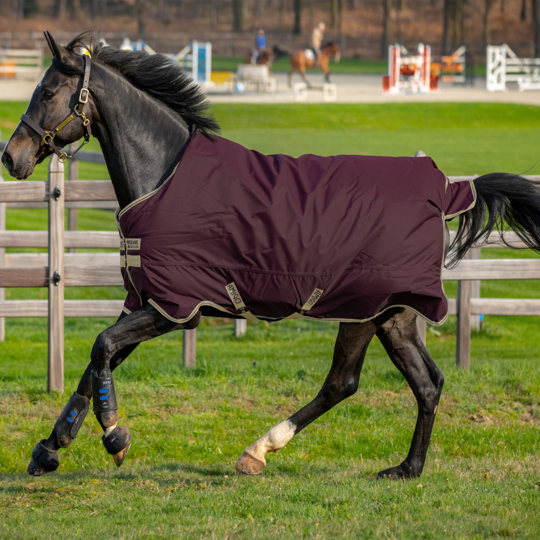 Horseware Ireland Amigo Hero 600D with Ripstop 100g