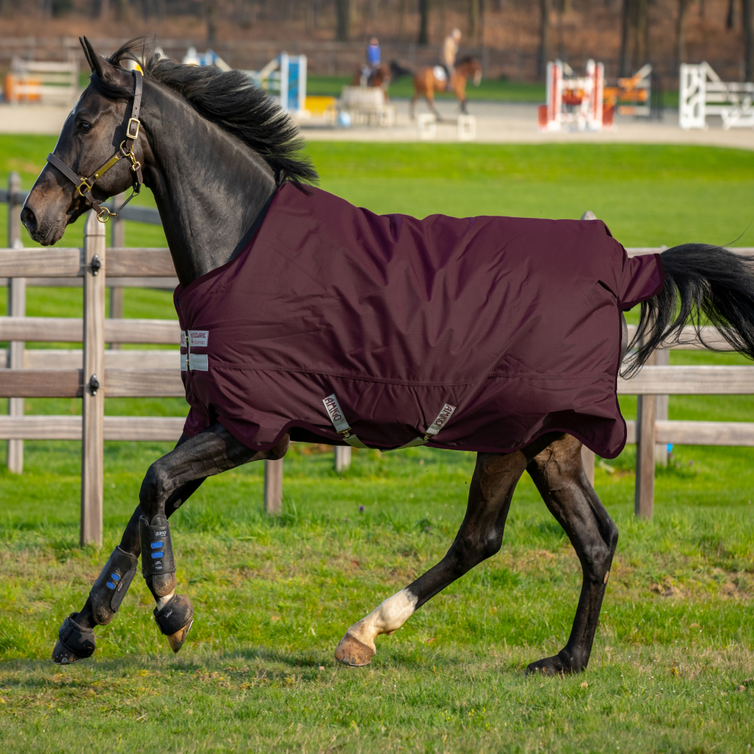 Horseware Ireland Amigo Hero600D with Ripstop with Fleece Lined 50g