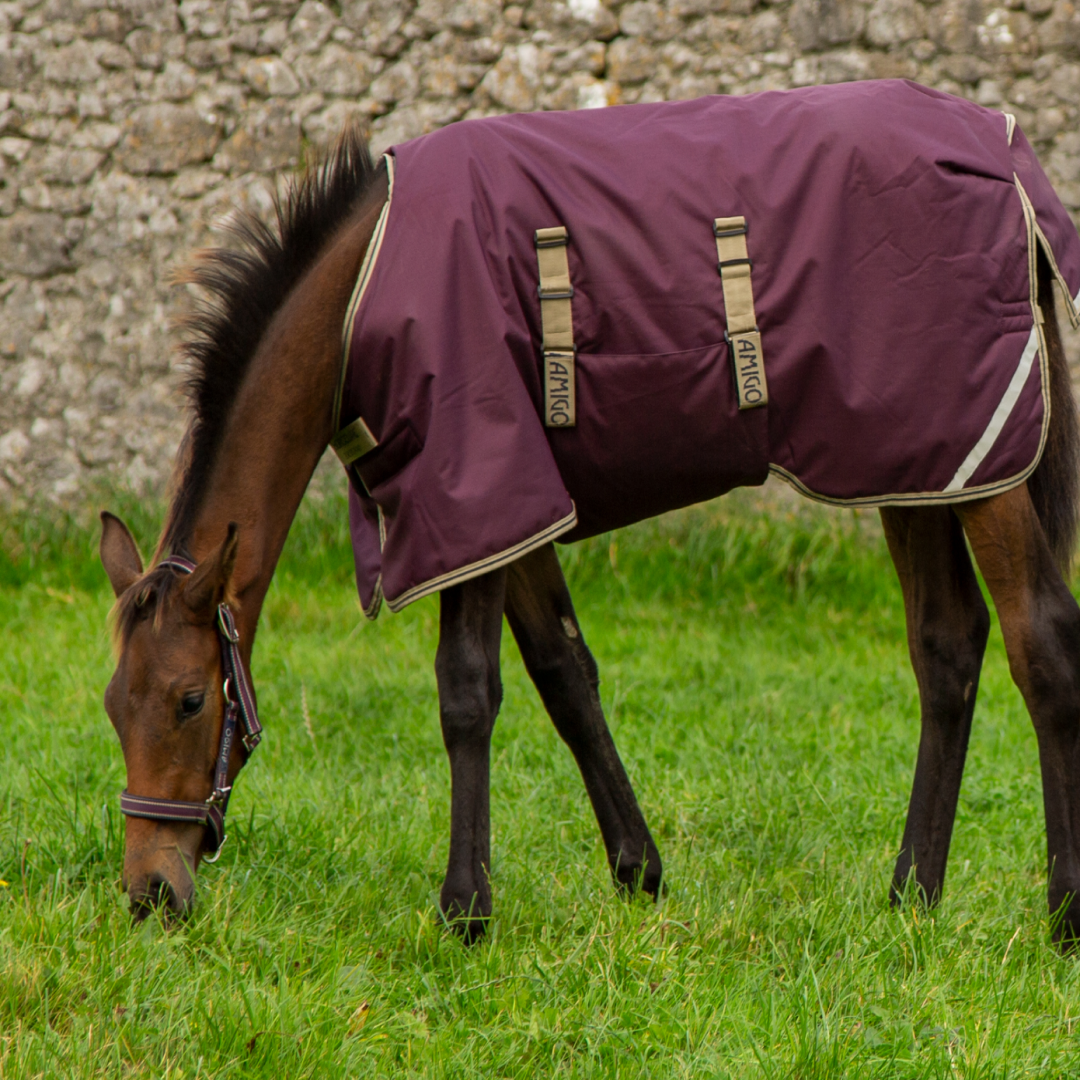 Horseware Ireland Amigo Foal Rug 200g Ripstop