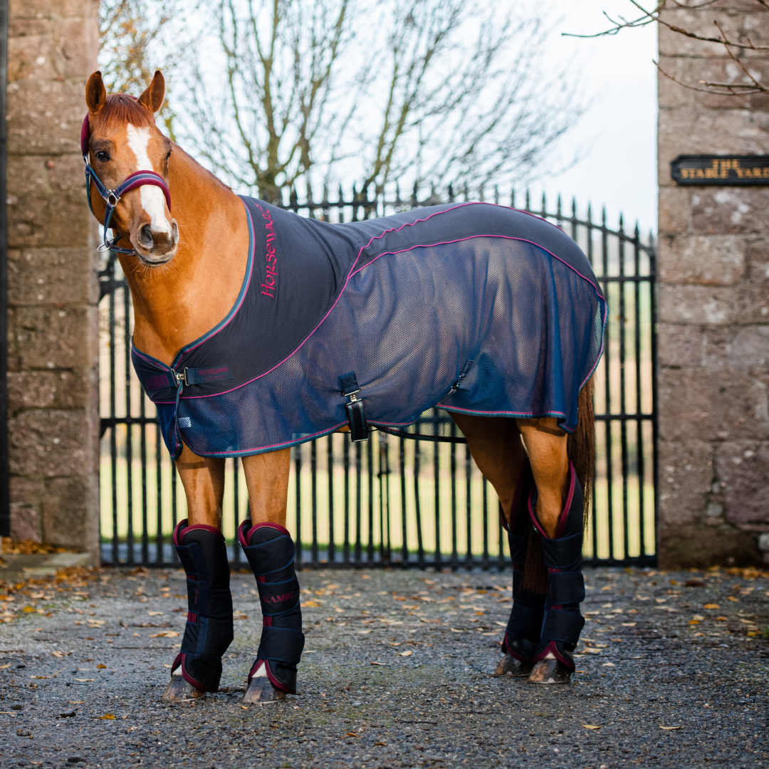 Horseware Ireland Rambo Sport Cooler