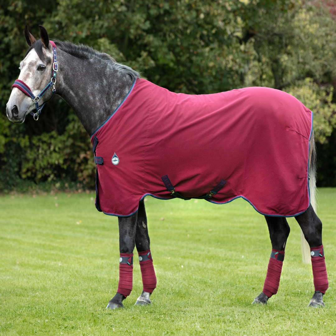 Horseware Ireland Rambo Helix Sheet with Disc Front Closure