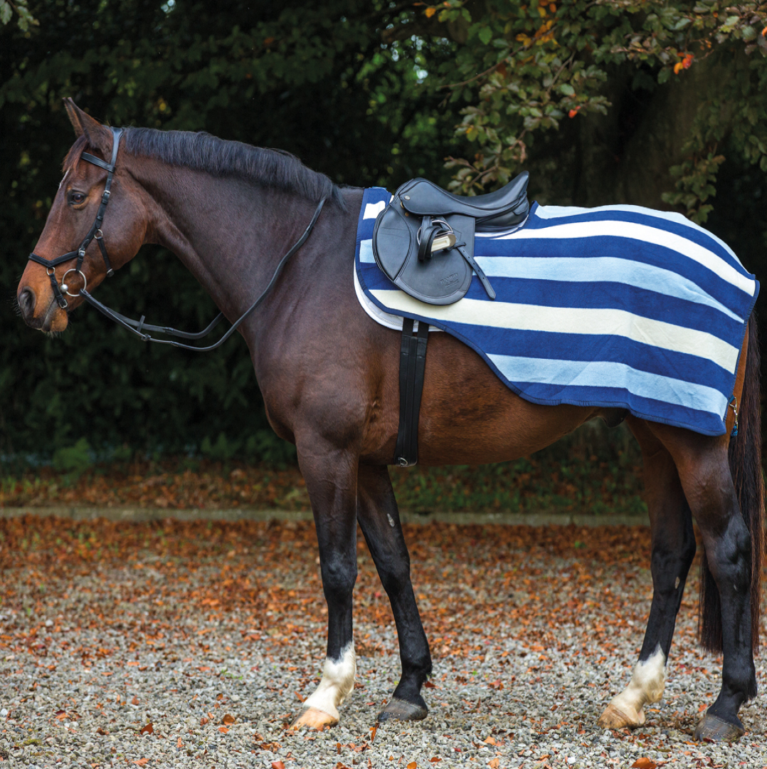 Horseware Ireland Rambo Fleece Competition Sheet