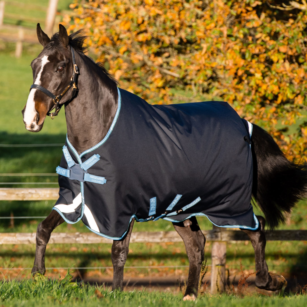 Horseware Ireland Amigo Bravo 12 Plus (Disc Front Closure) Bundle