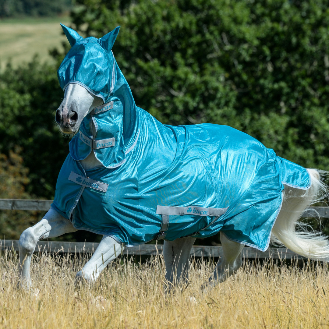 Bucas Freedom Fly Mask