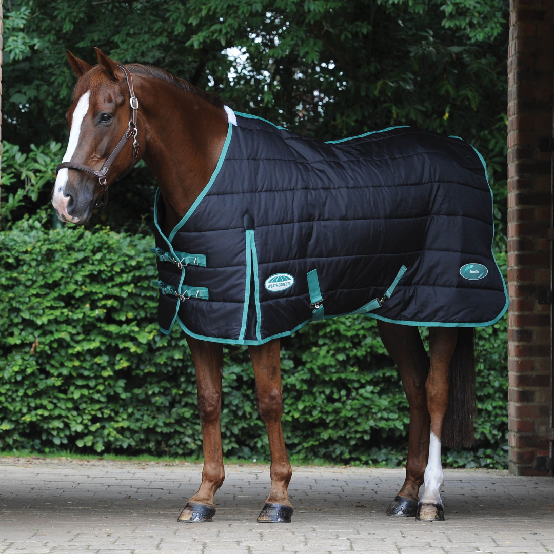 Weatherbeeta Green-Tec Stable Standard Neck Medium/Lite