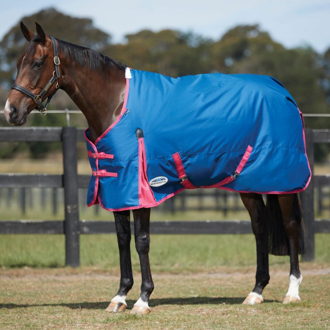 Weatherbeeta Comfitec Classic Standard Neck Medium