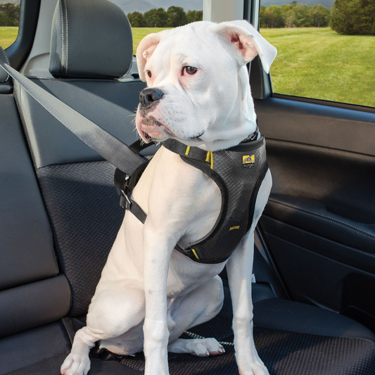 Kurgo Impact Seatbelt Harness