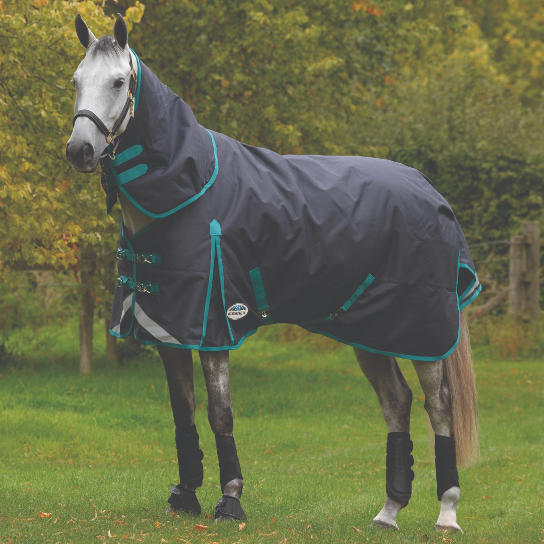 Weatherbeeta Comfitec Plus Dynamic II Detach-A-Neck Medium
