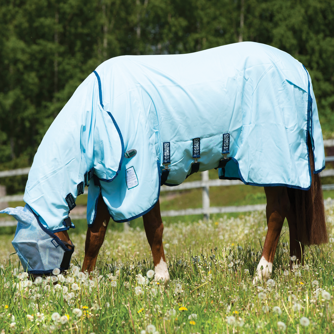 Horseware Ireland Miniature Rambo Hoody Vamoose