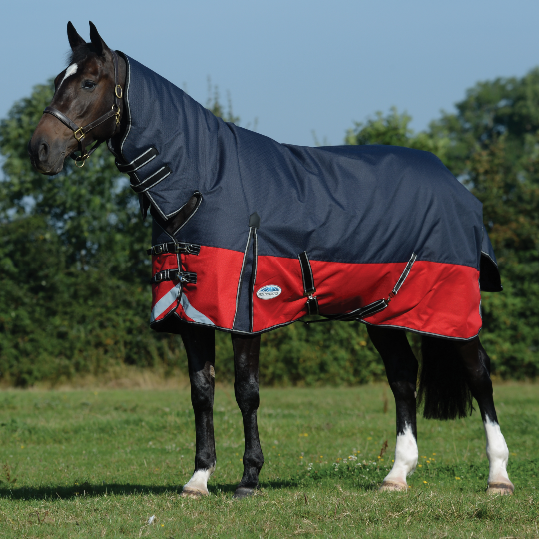 Weatherbeeta Comfitec Plus Dynamic II Combo Neck Medium/Lite