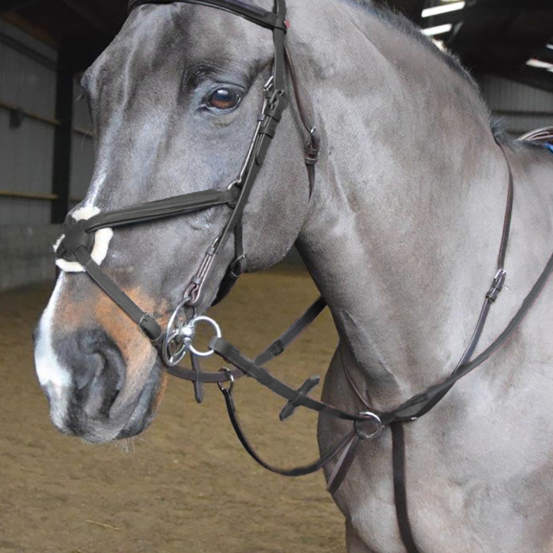 Whitaker Ready To Ride Martingale