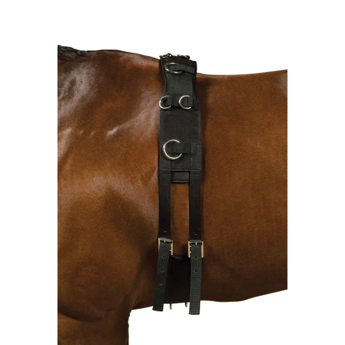 Kincade Deluxe Equigrip Lunge Roller