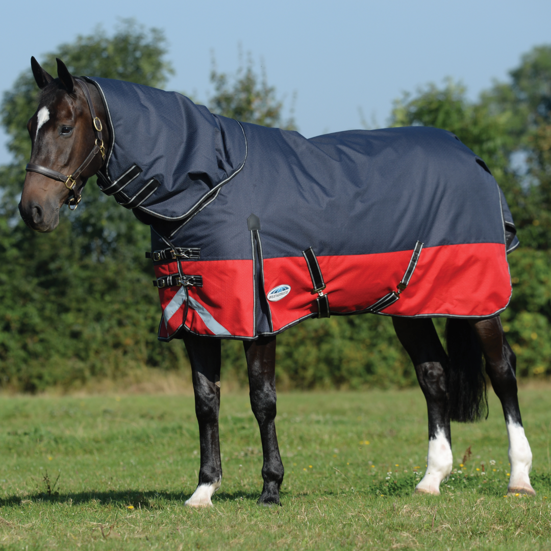 Weatherbeeta Comfitec Plus Dynamic II Detach-A-Neck Medium